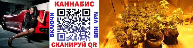 Марихуана OG Kush KRAKEN вход маркетплейс состав Новоаннинский